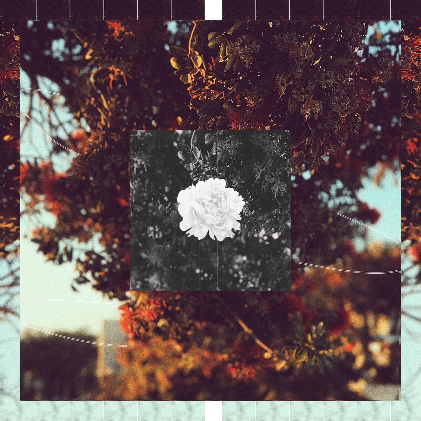 Remembering How to Forget