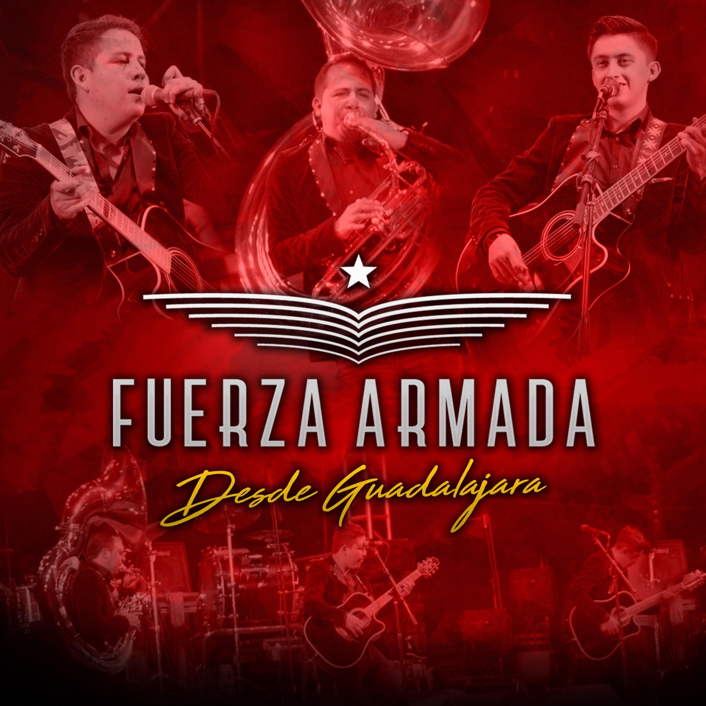 De Periodico un Gallito