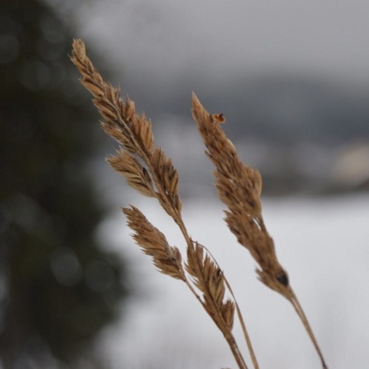 there's no way to run from it