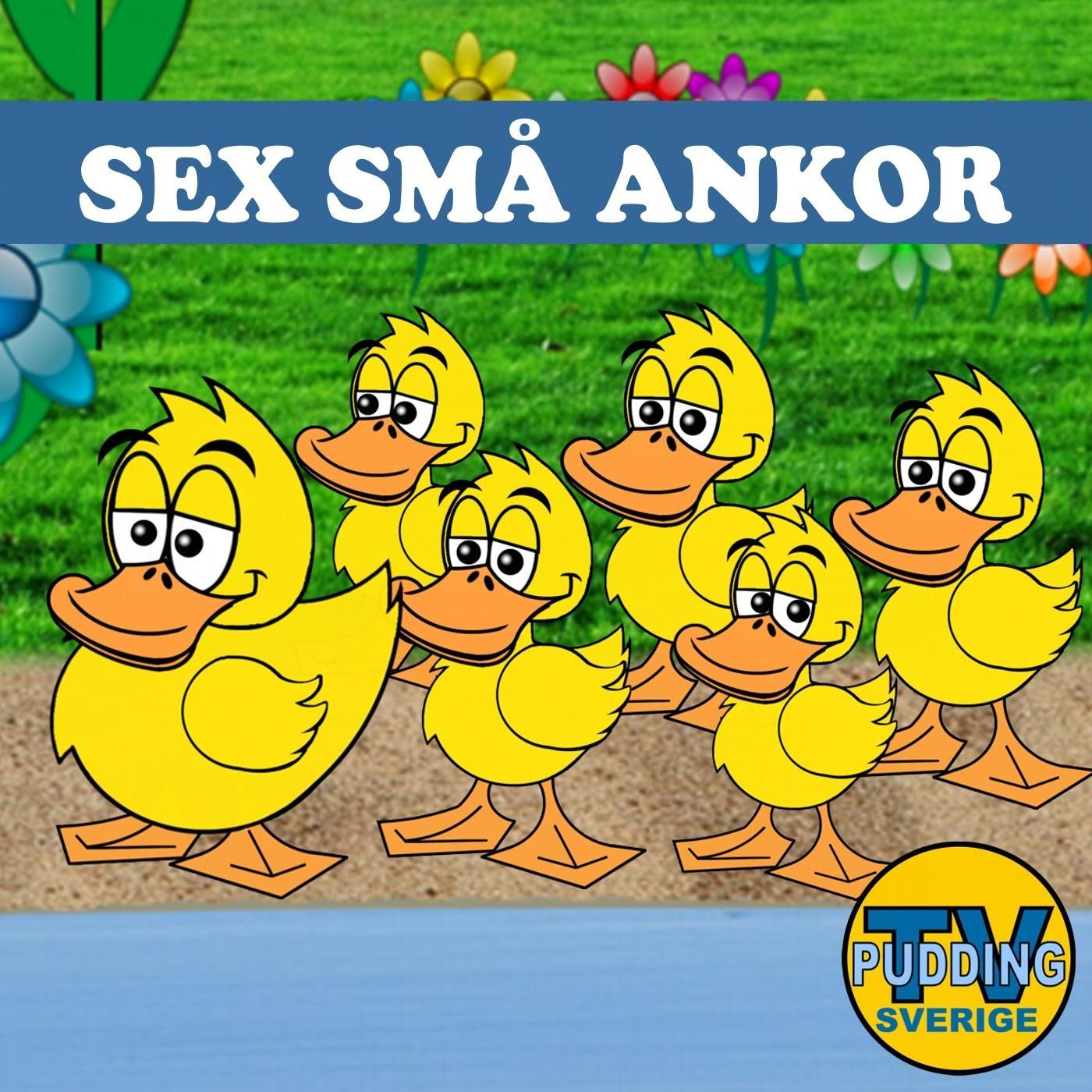 sm ankor