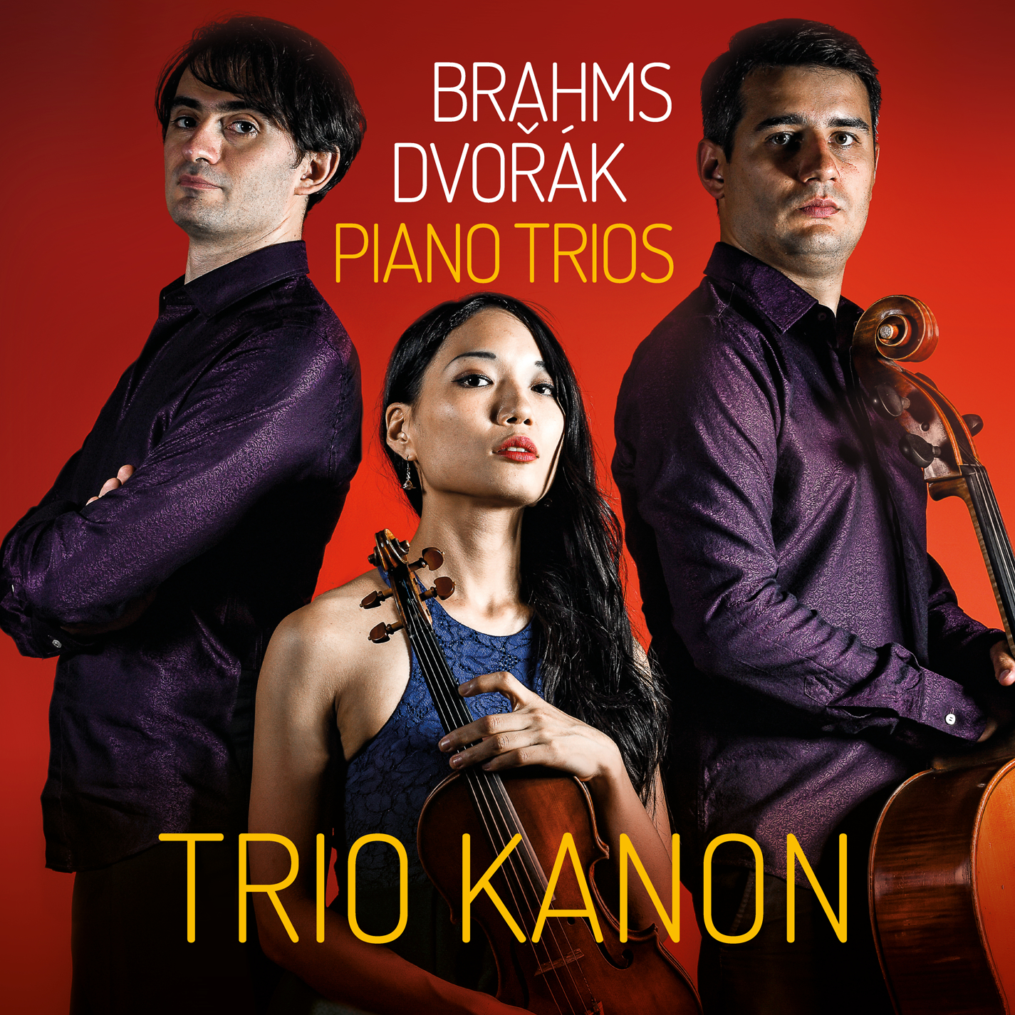 Trio in E Minor, Op. 90 "Dumky": III. Andante - Vivace non troppo