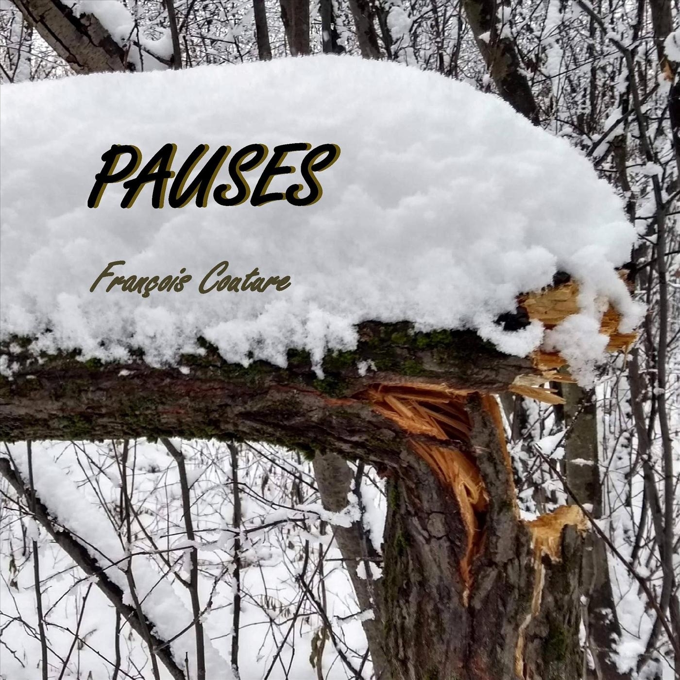 Pauses