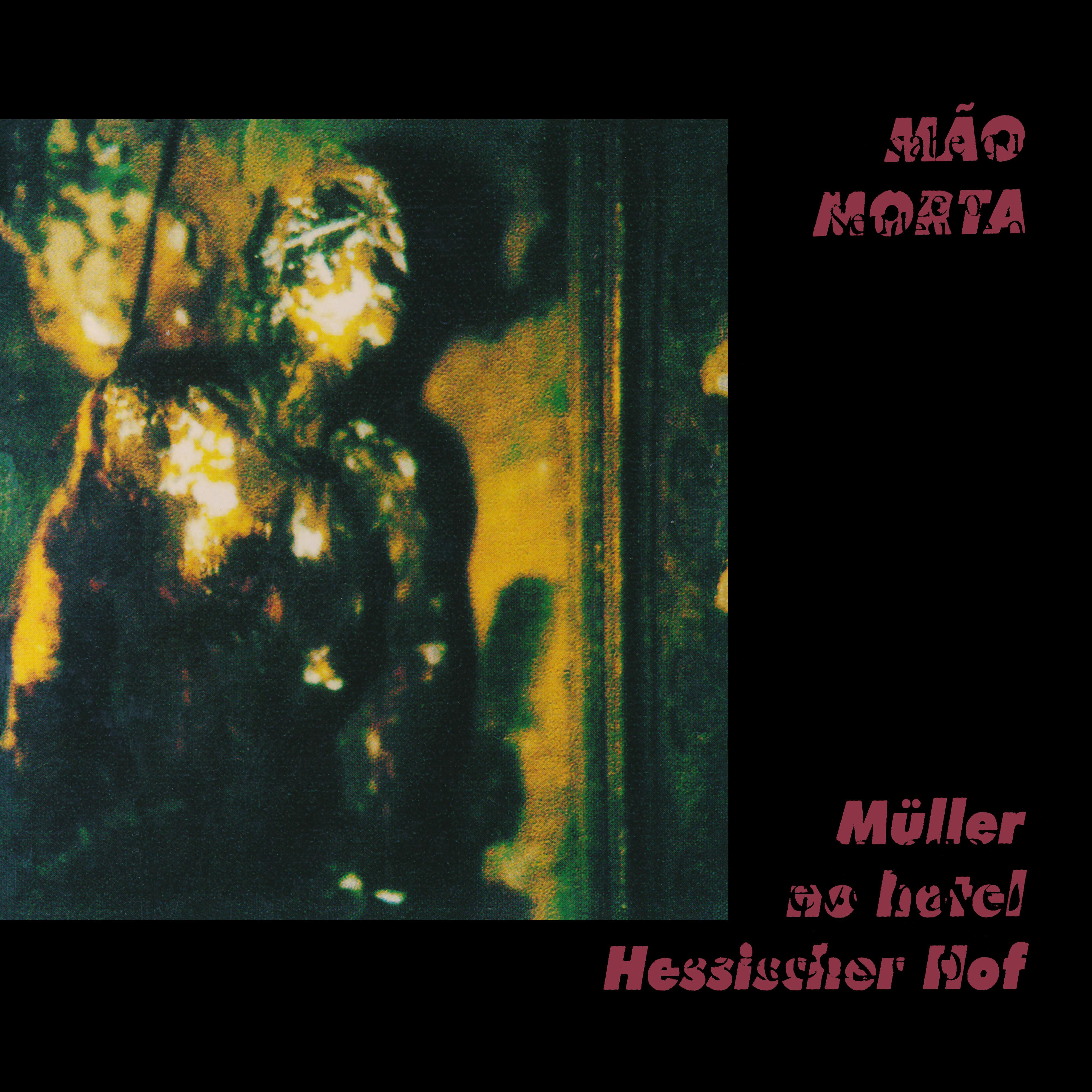 Ontem pela tarde ensolarada