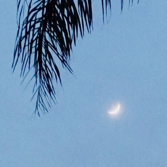 yuan ni shui hou si yi nong, yu sheng wen rou ban qian qiu