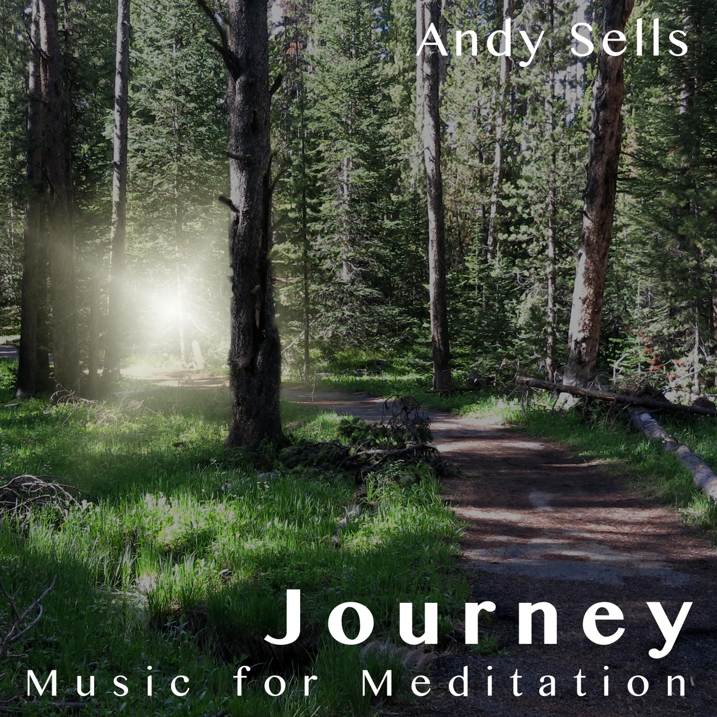 Private Echoes, Pt. 2