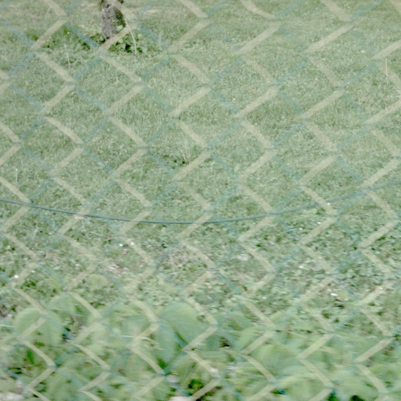 Kuess du mich zuerst