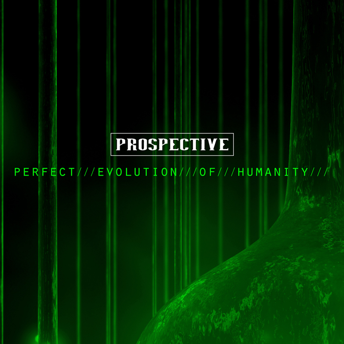 Perfect Evolution of Humanity