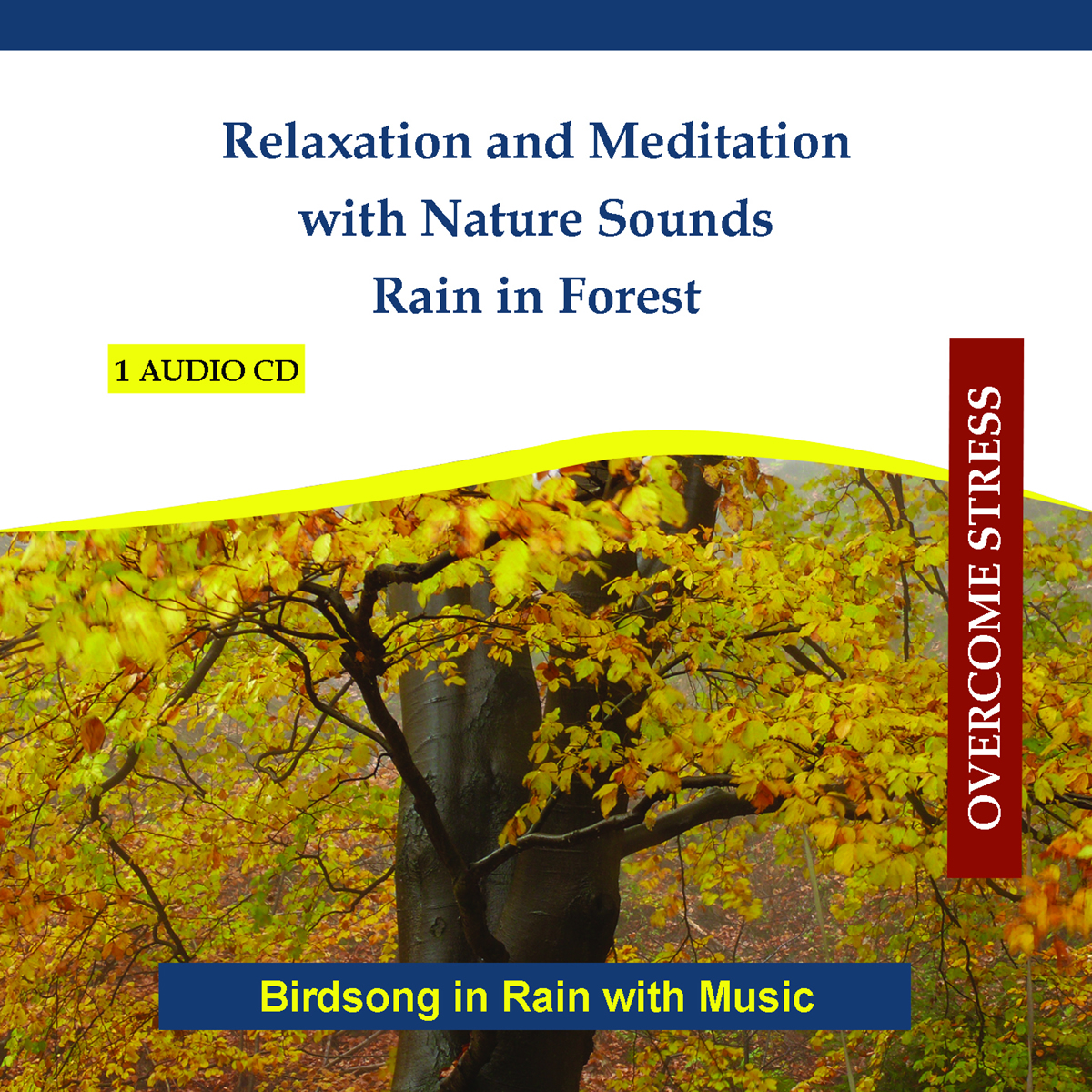 Relaxation and Meditation With Nature Sounds - Rain in Forest - Birdsong in Rain With Music