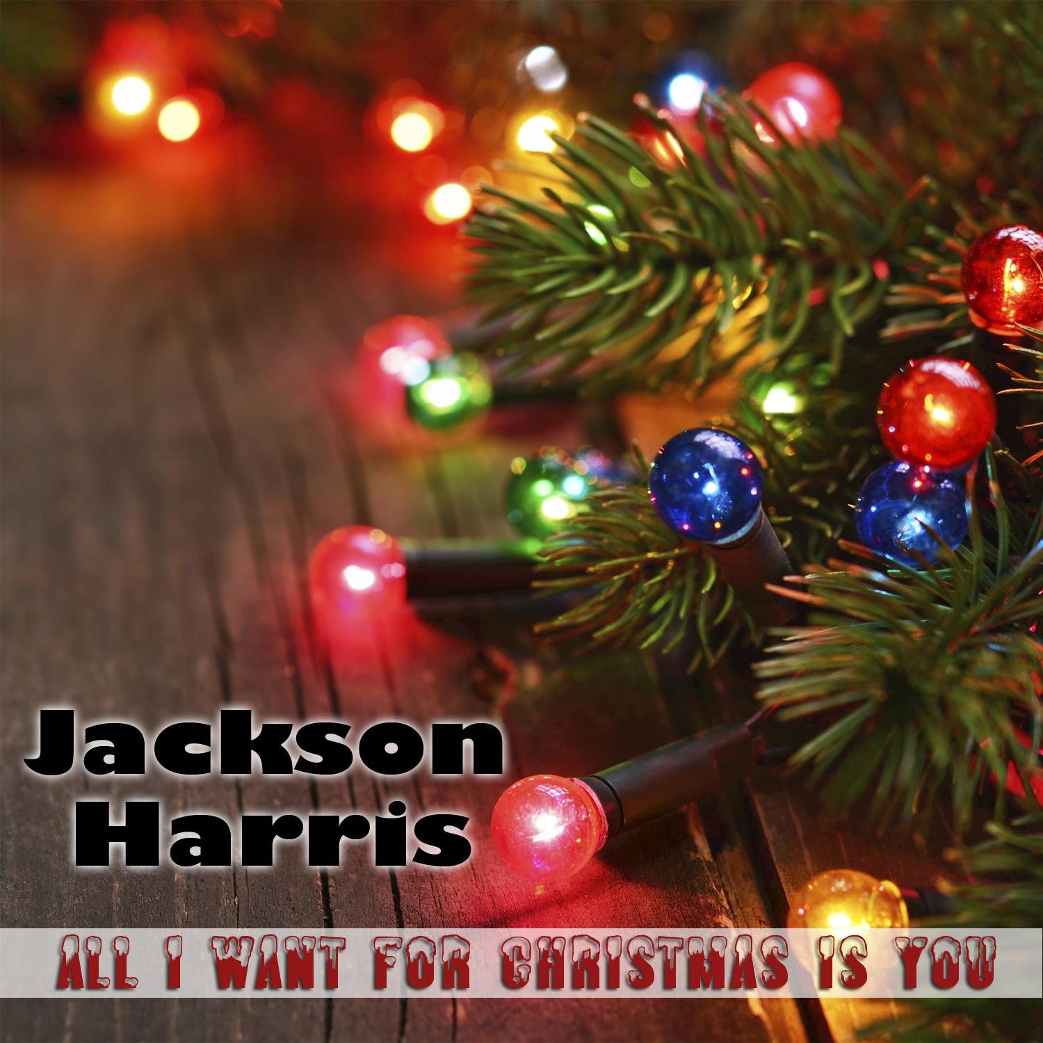 All I Want for Christmas Is You