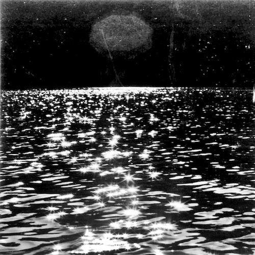 In a Wooded Valley, in a Flurry of Snow