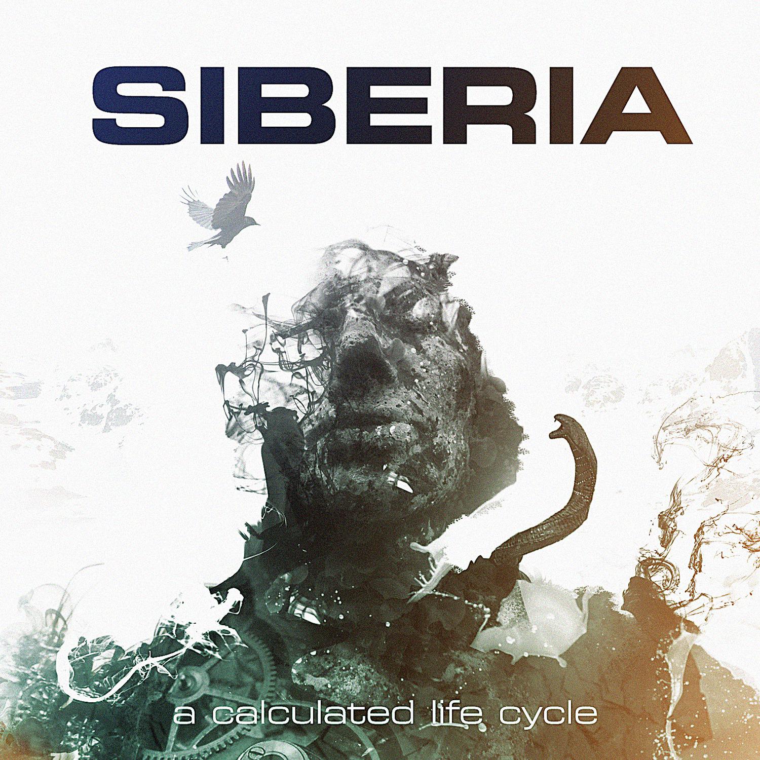 A calculated life cycle