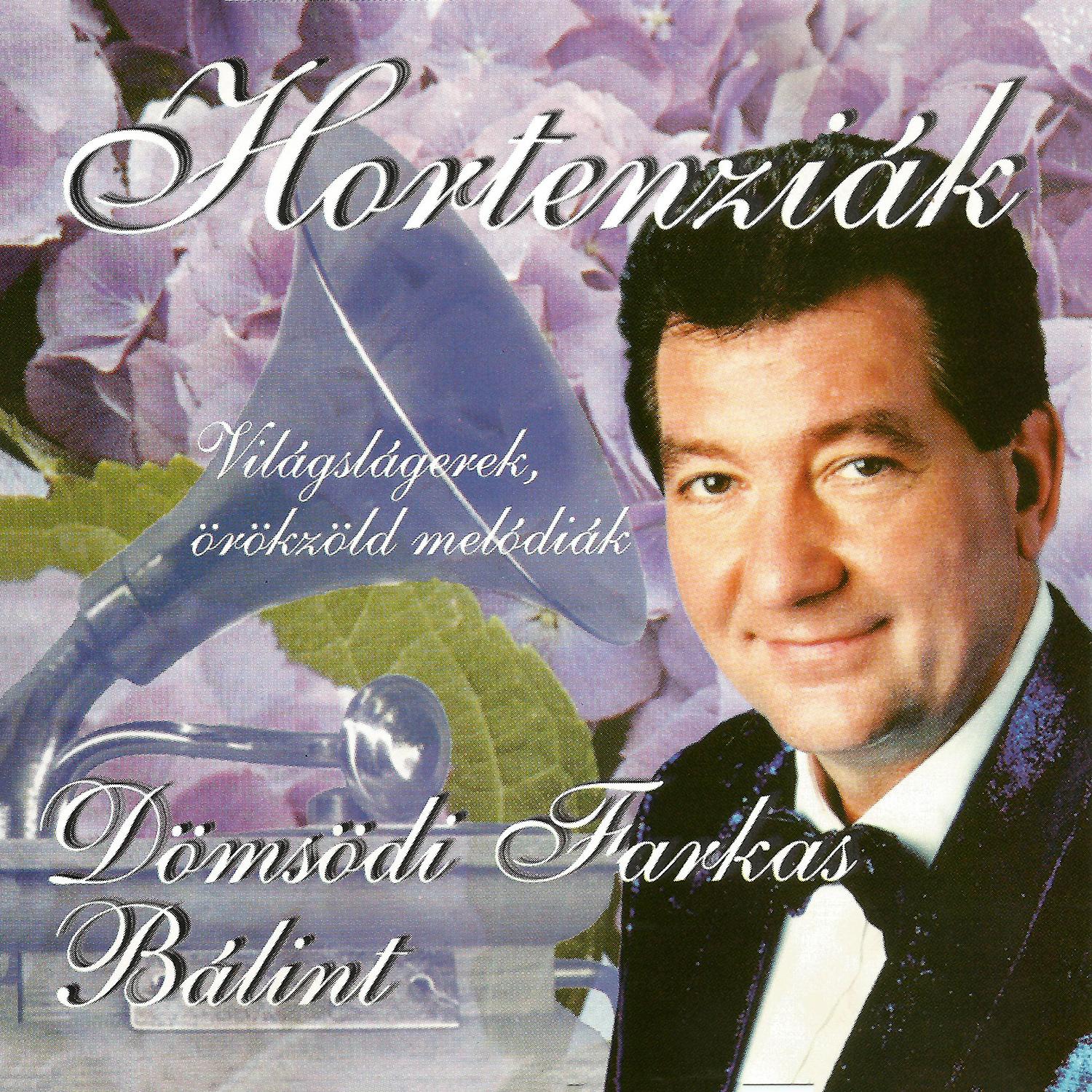 Hortenzia k az ablakom alatt