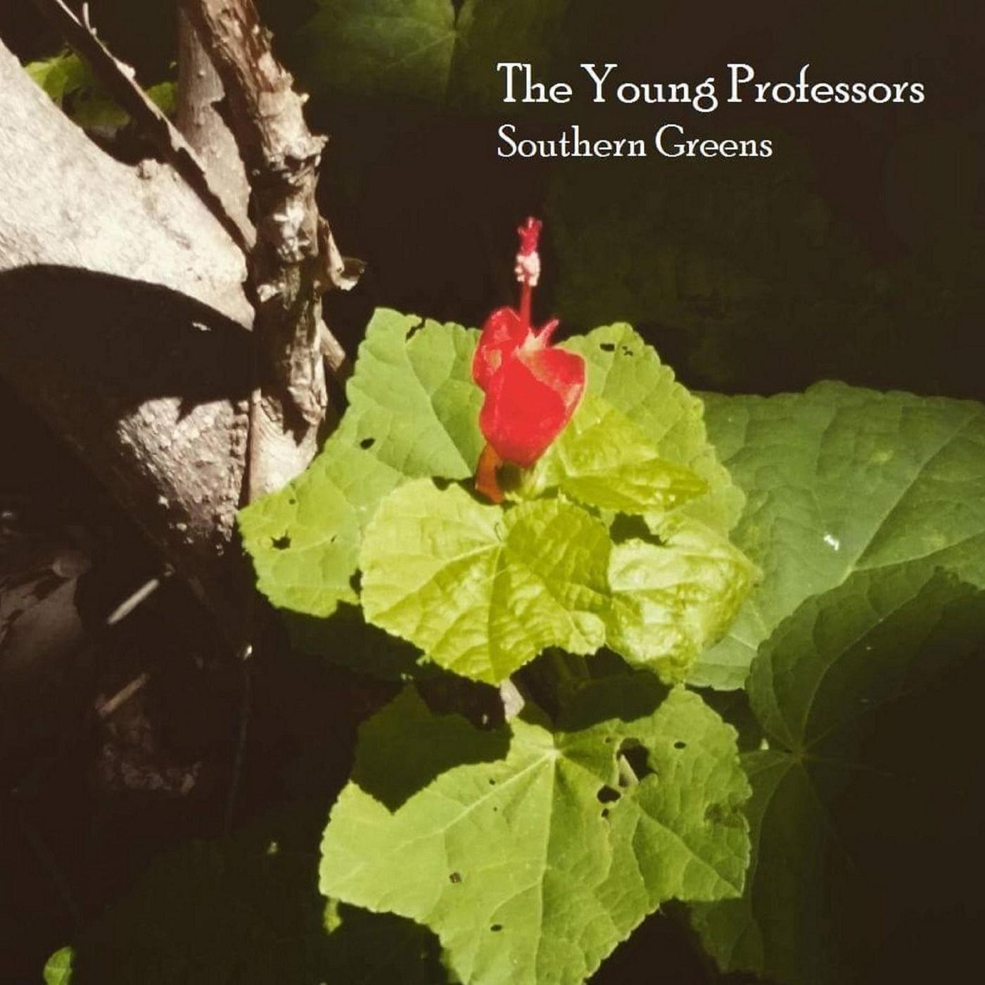 Two Wrongs Don't Make a Right