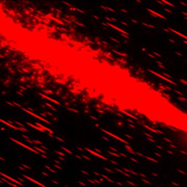 tao li prod. twentysevenhearts