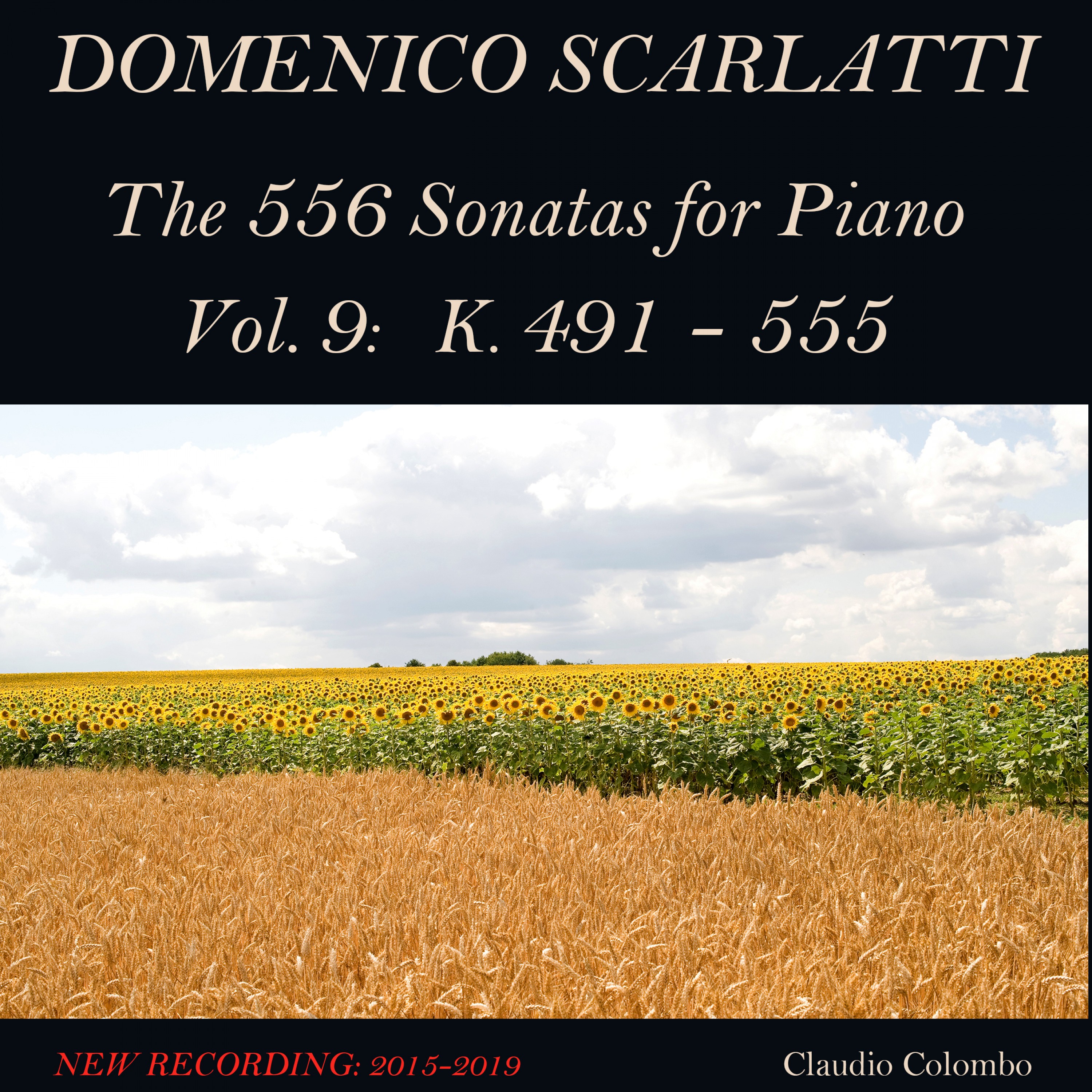 Piano Sonata in F Minor, K. 519: I. Allegro assai