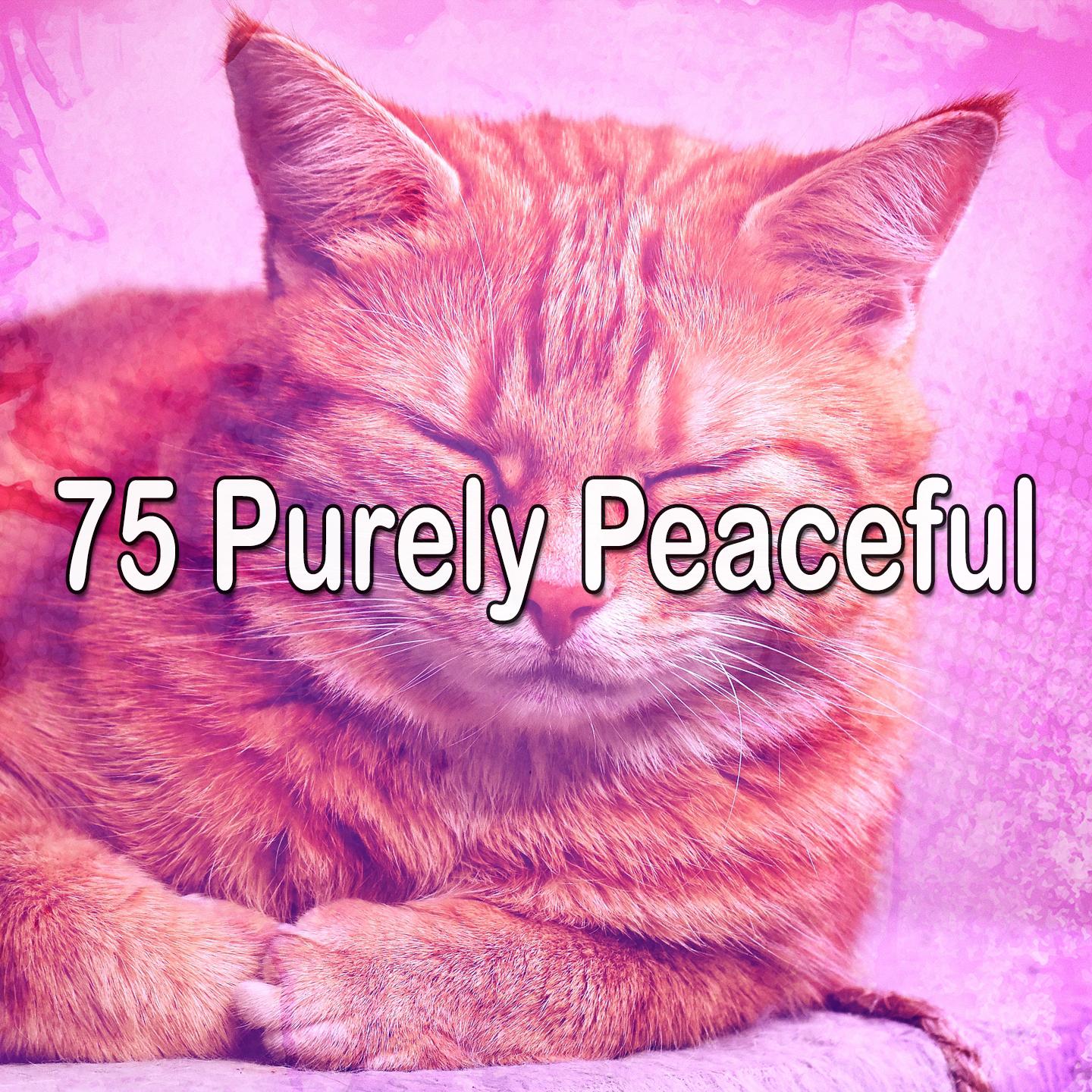 75 Purely Peaceful
