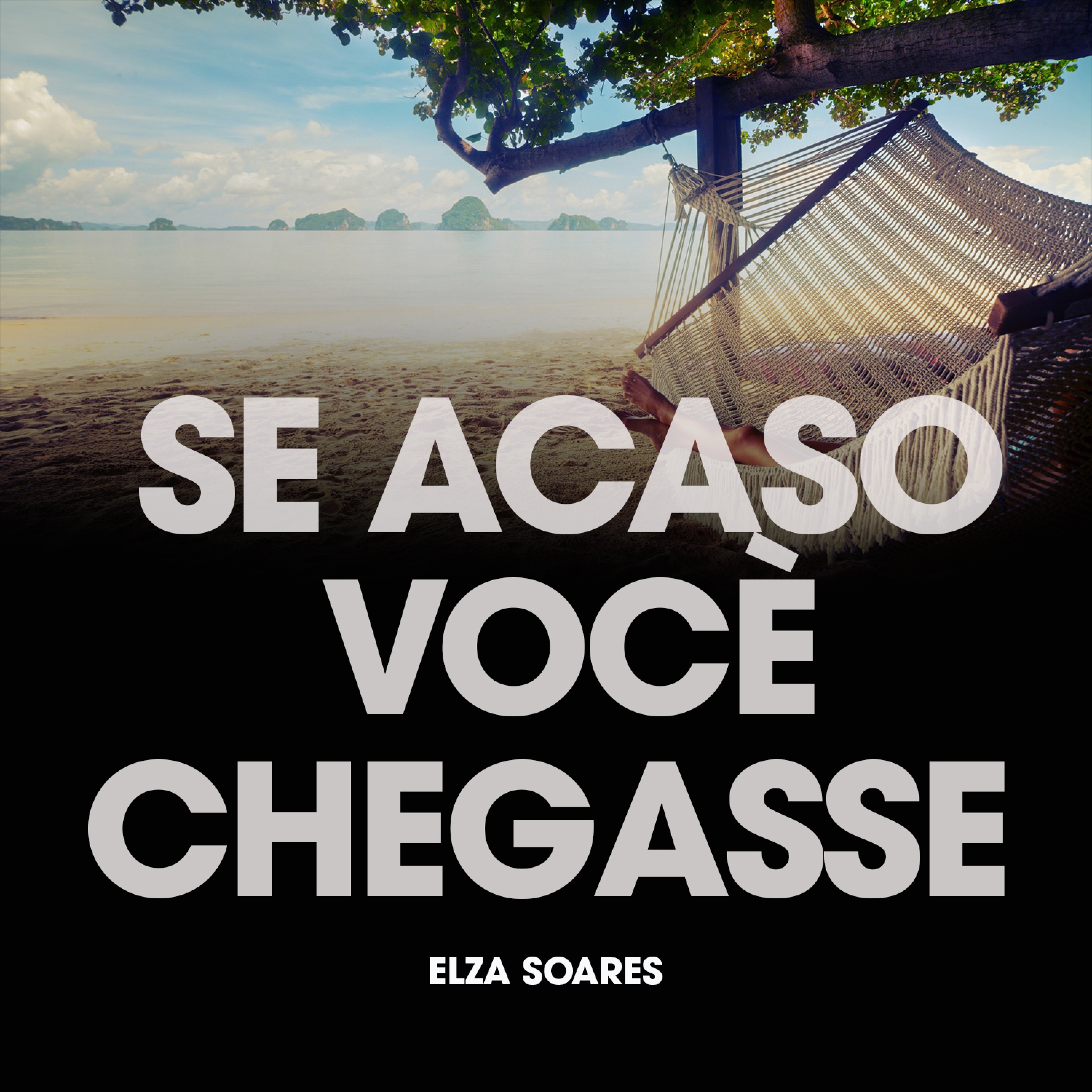 Se Acaso Voce Chegasse