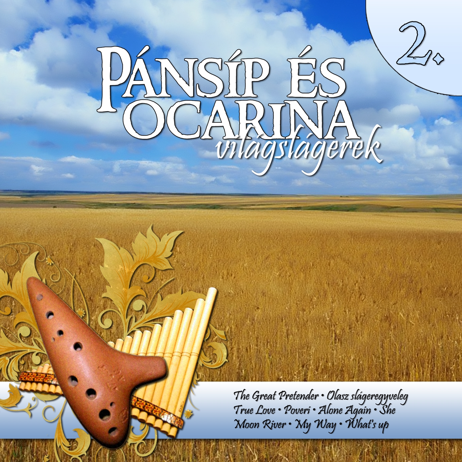 Pa nsi p e s ocarina vila gsla gerek 2.