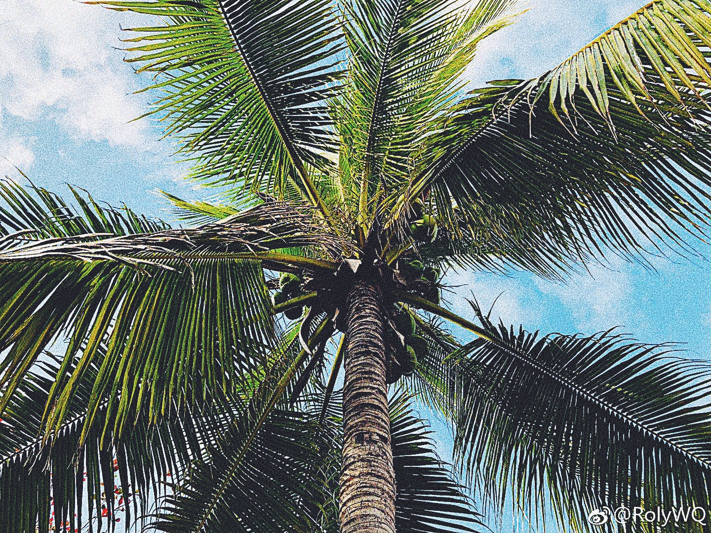 Aries lion Prod by Verbal Jint