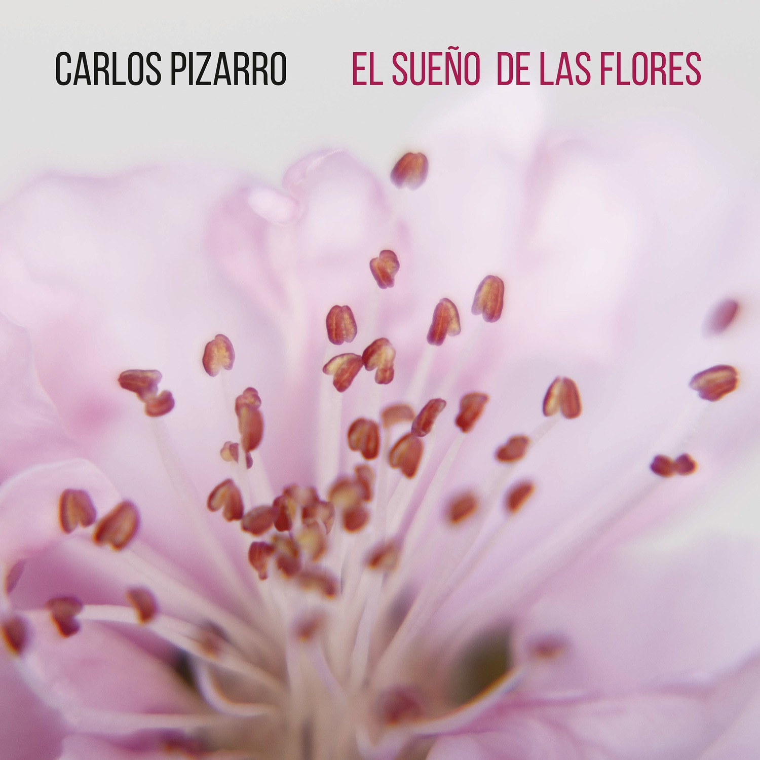 El sue o de las flores