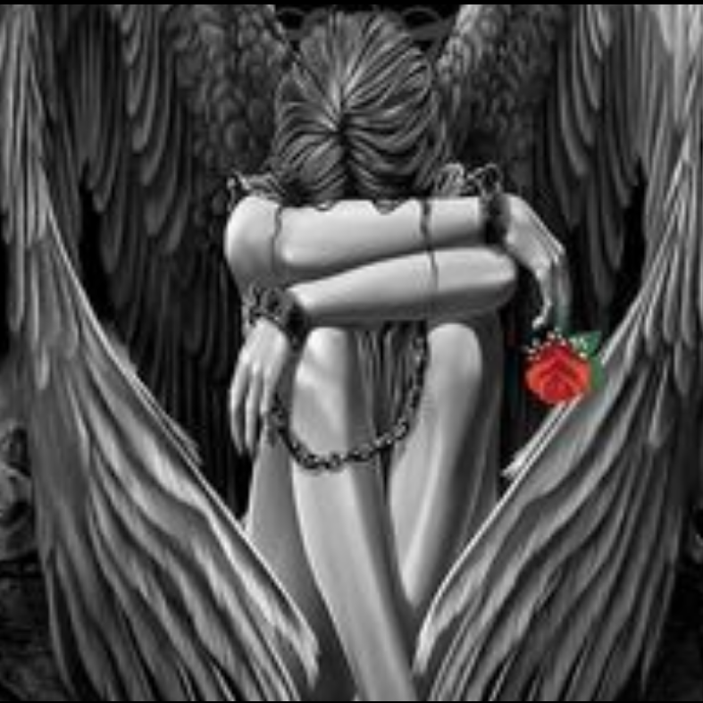 hai xiang ting ni de gu shi