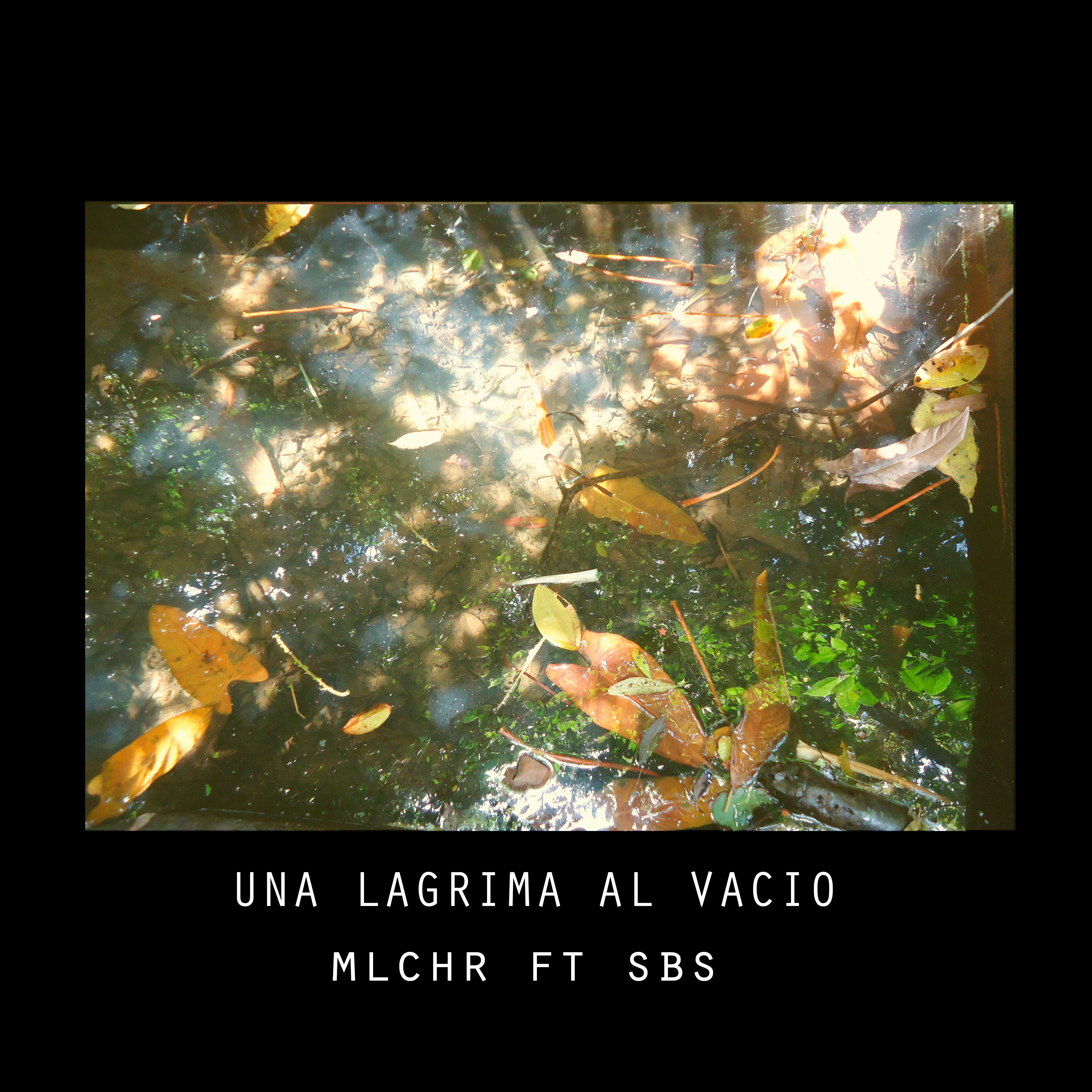 Una Lagrima Al Vaci o