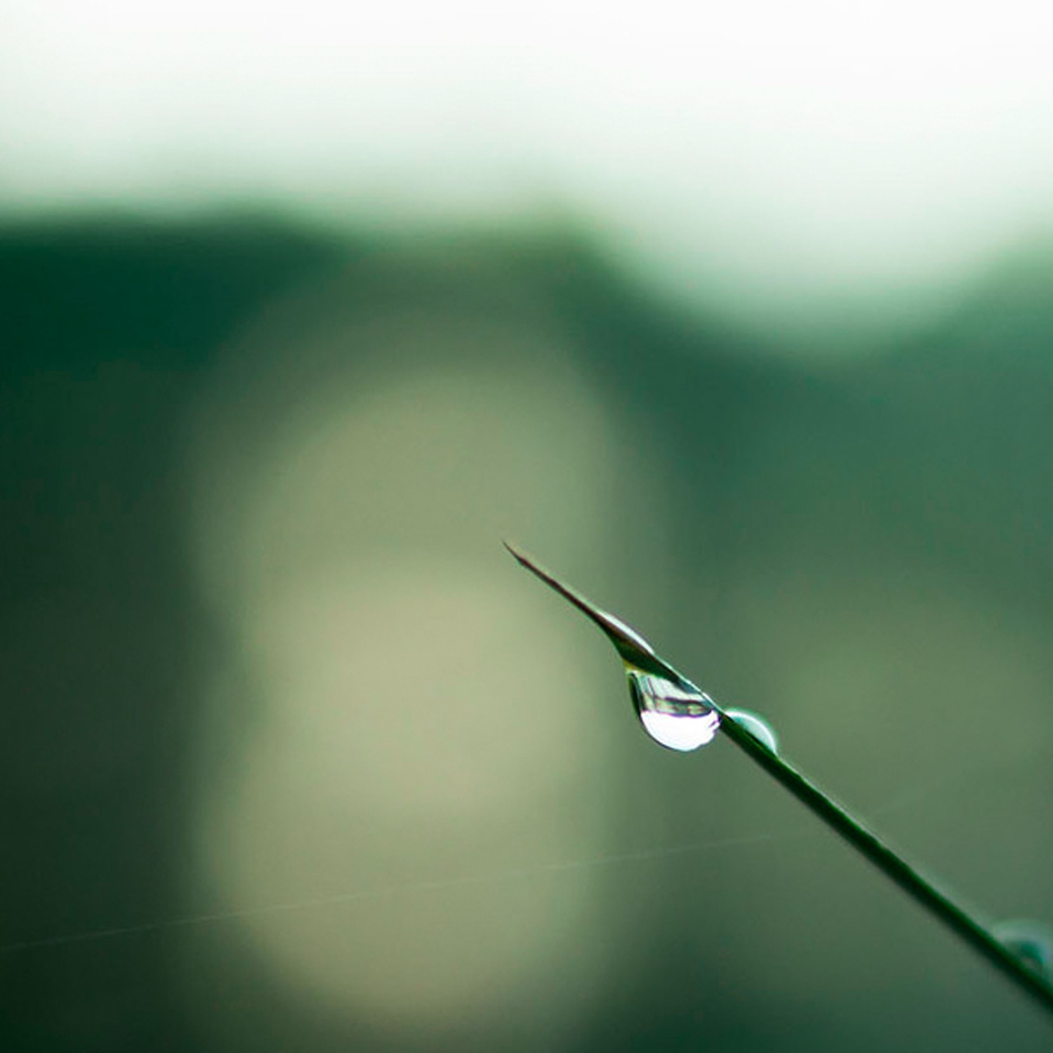 Esta es XIII e XIV: Mt 27, 5561