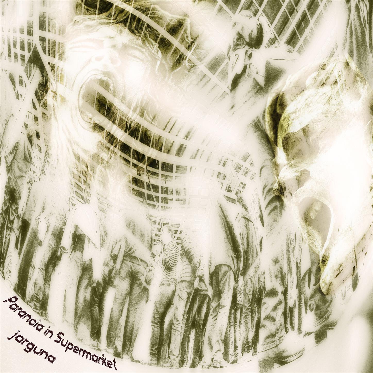 Paranoia in Supermarket