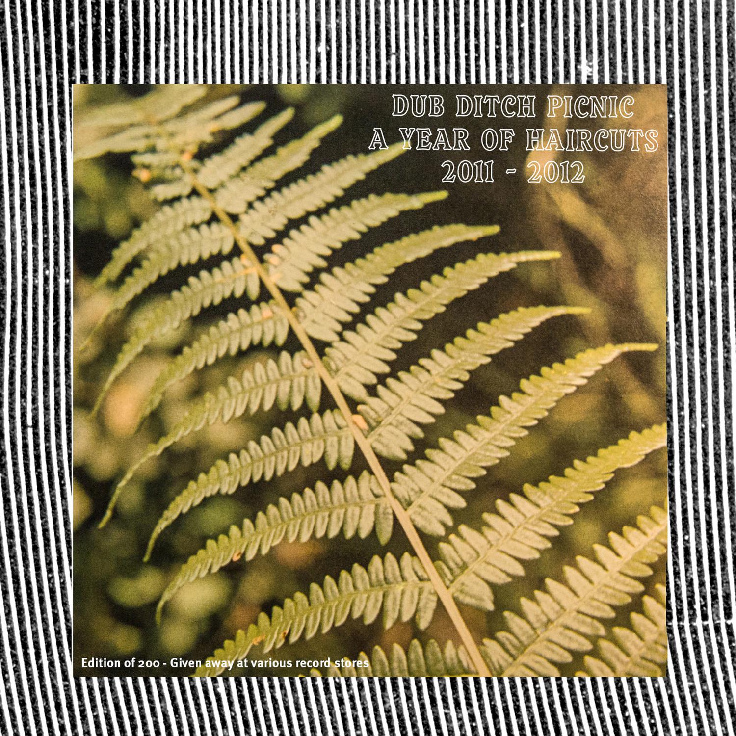 Dub Ditch Picnic: A Year of Haircuts 2011-2012