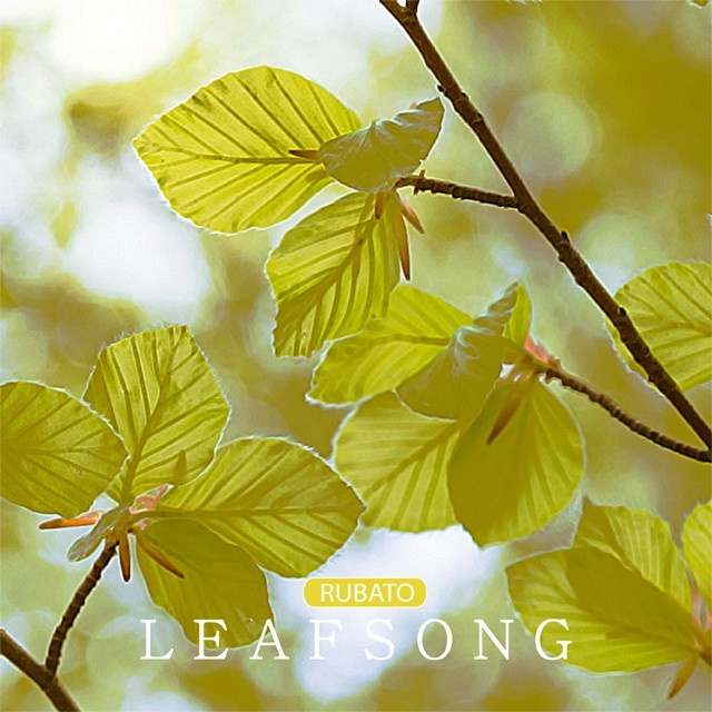 Leaf Song
