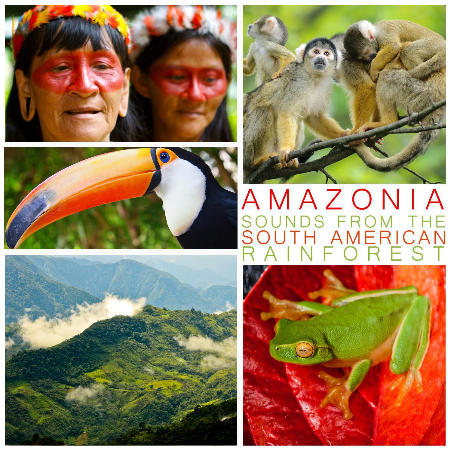 Amazonia - Sounds from the South American Rain Forest