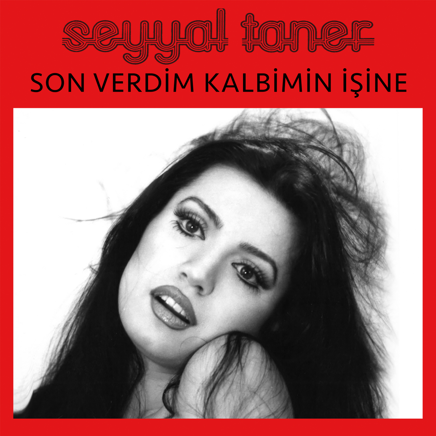 Son Verdim Kalbimin ine