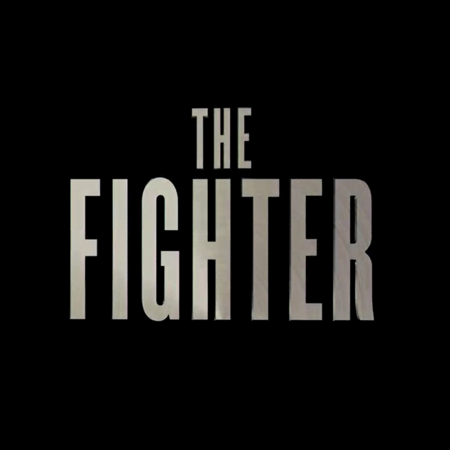 The Fighter - Single
