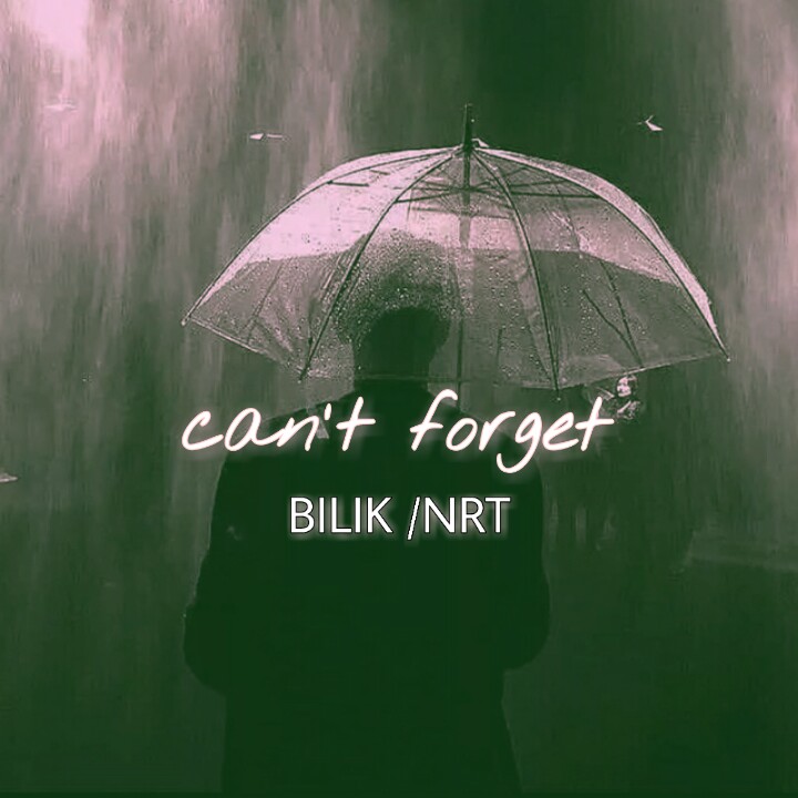 Can' t forget