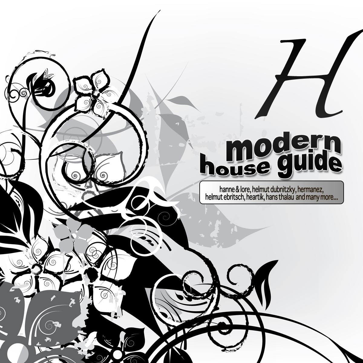 Modern House Guide - H