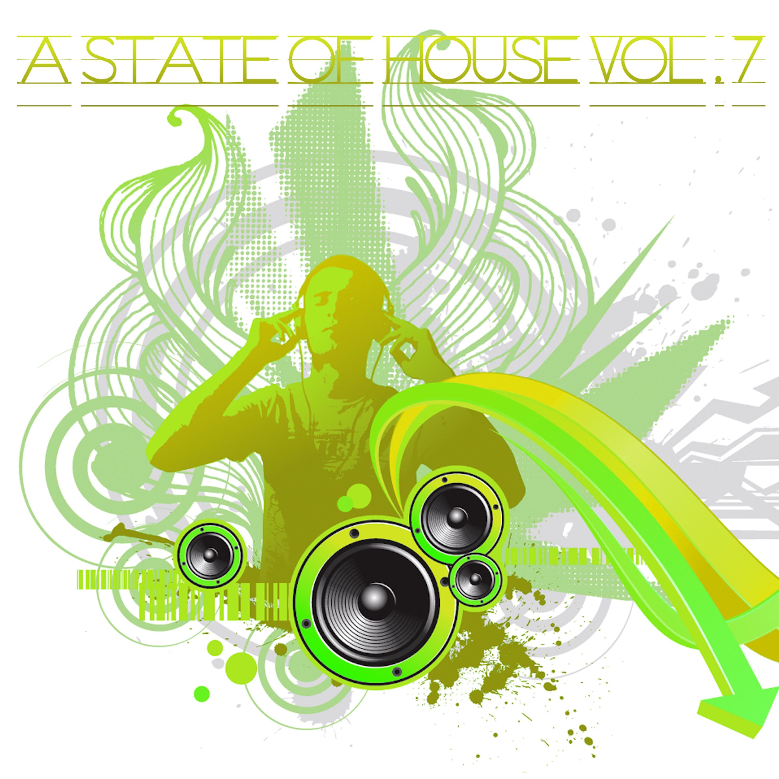 A State of House, Vol. 7