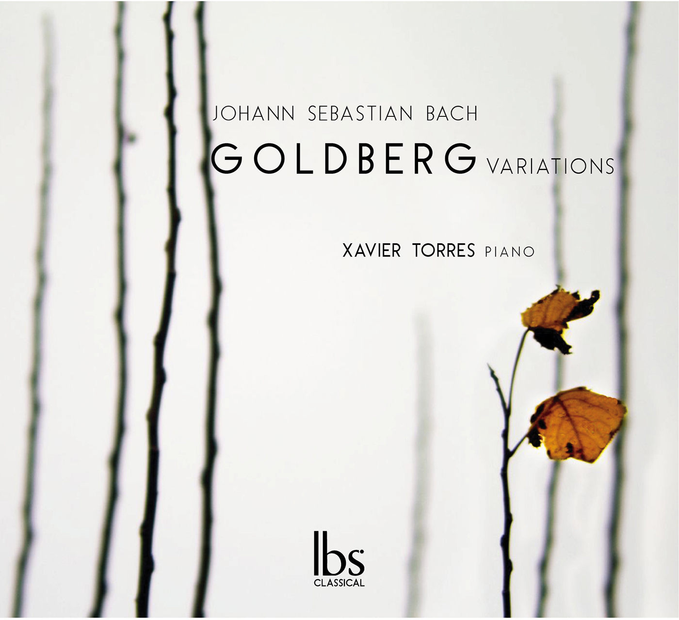 Goldberg Variations, BWV 988:Variatio 17. a 2 Clav.