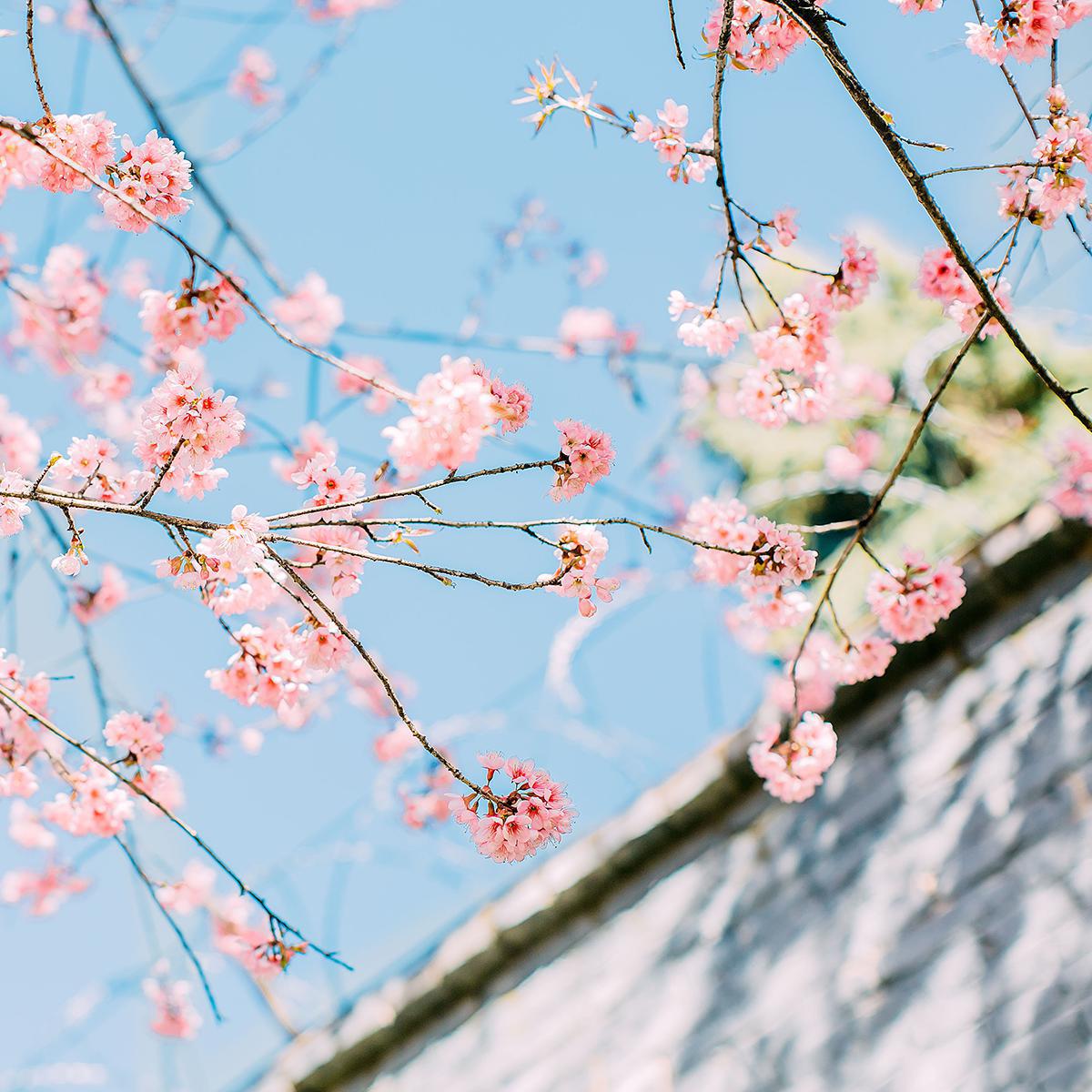 ni zhi dao wo zai deng ni ma