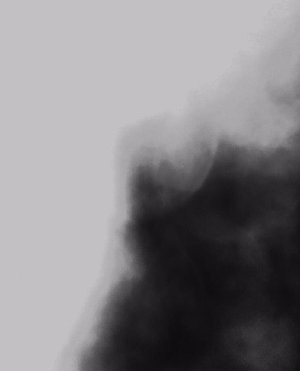 zhe zhi ling li de zong se hu li tiao guo yi zhi lan duo de gou