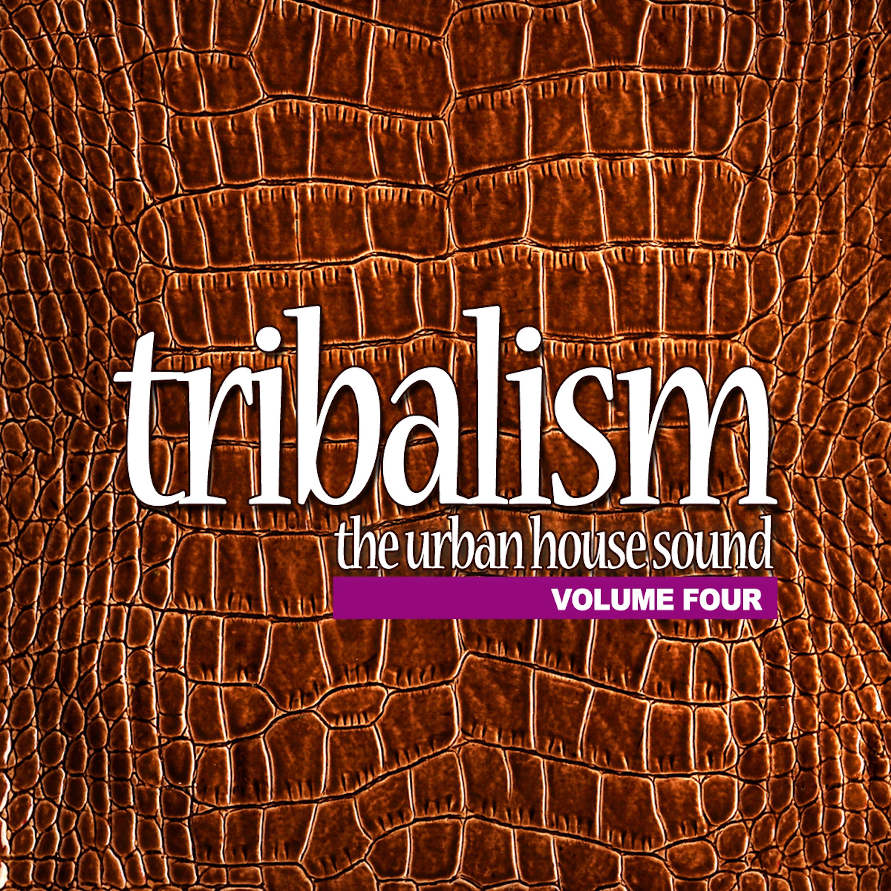 Tribalism Vol, 4 - The Urban House Sound