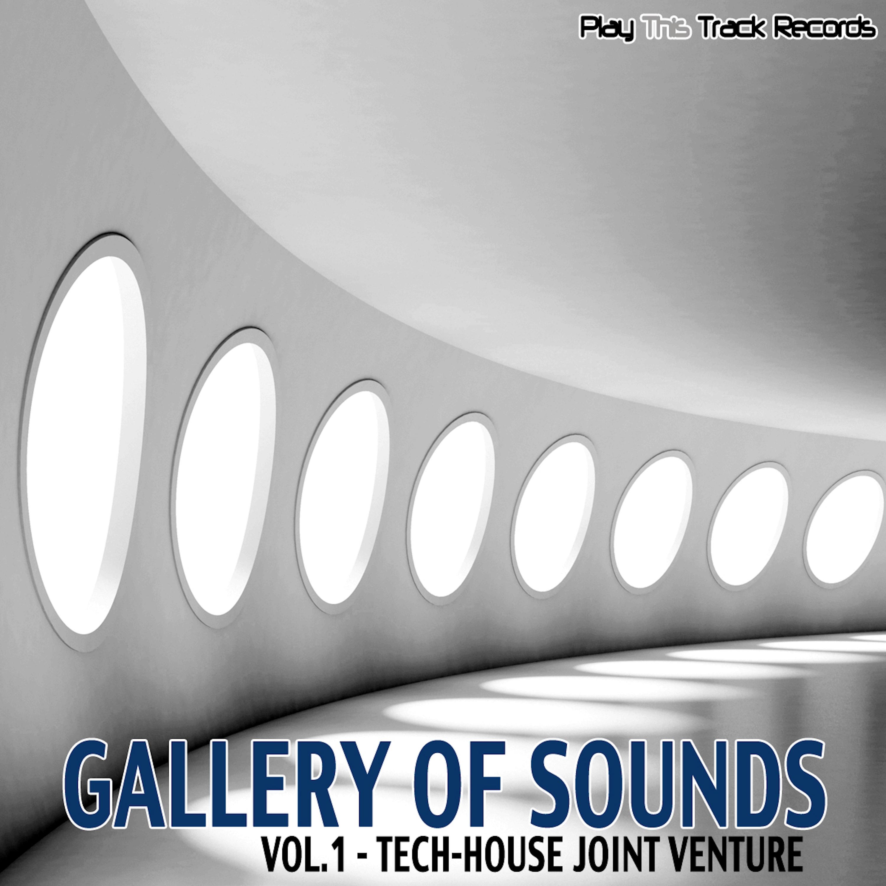 Gallery Of Sounds -Vol.1 - Tech-House Joint Venture