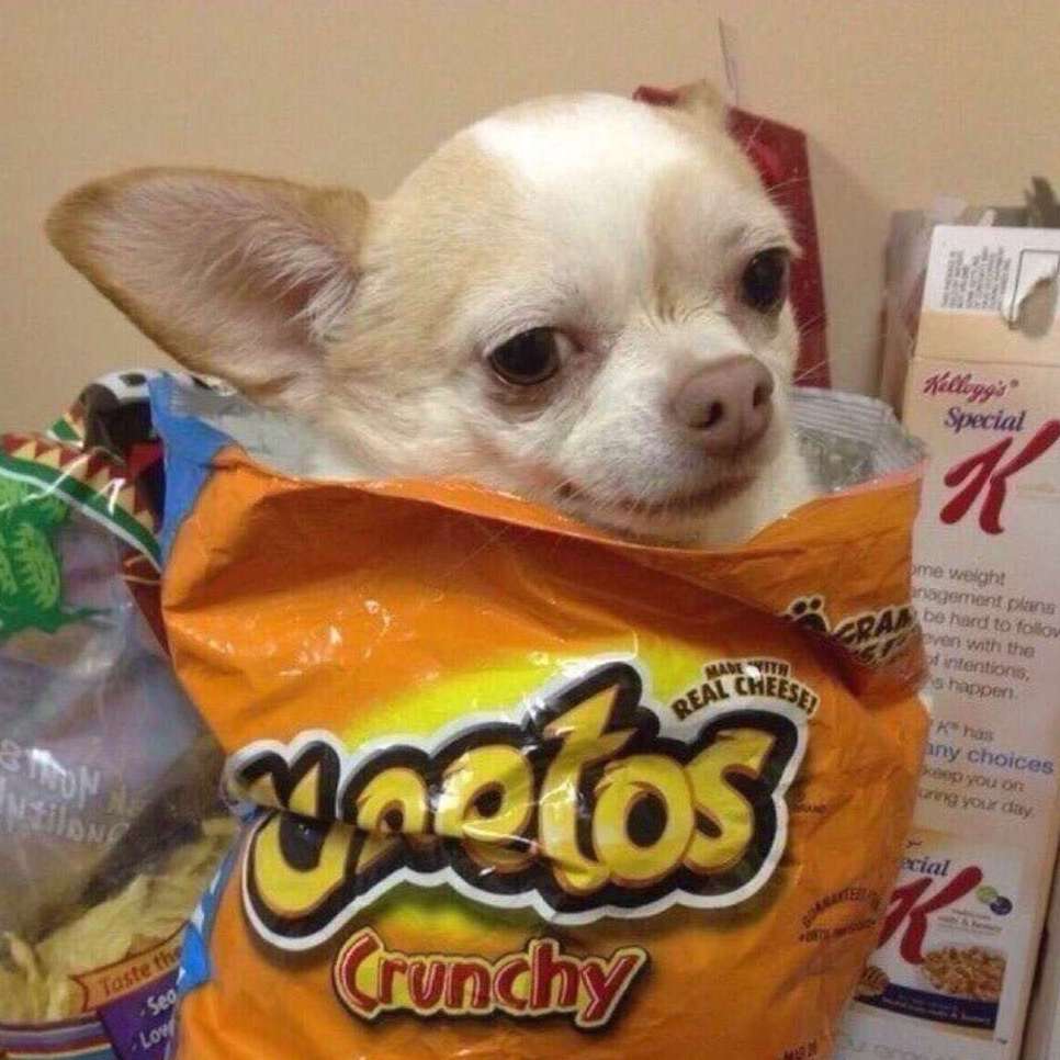 er ling yi jiu sui bi