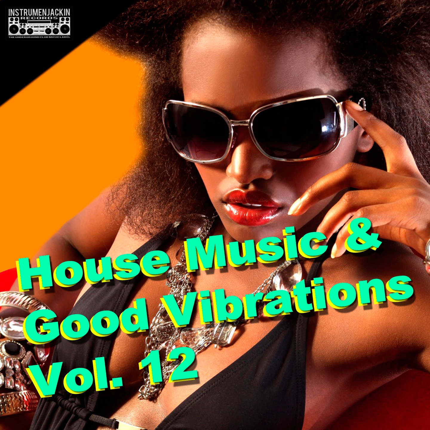 House Music & Good Vibrations, Vol. 12