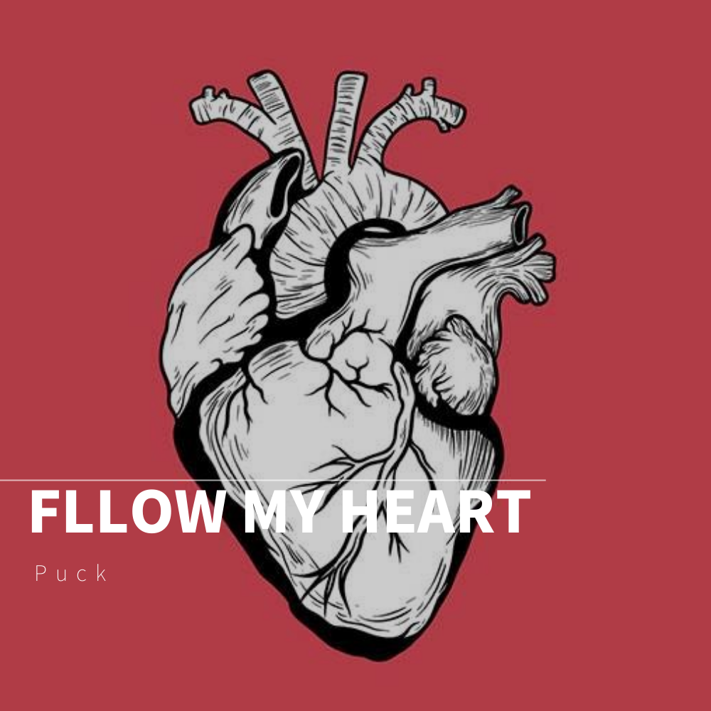Fllow My Heart