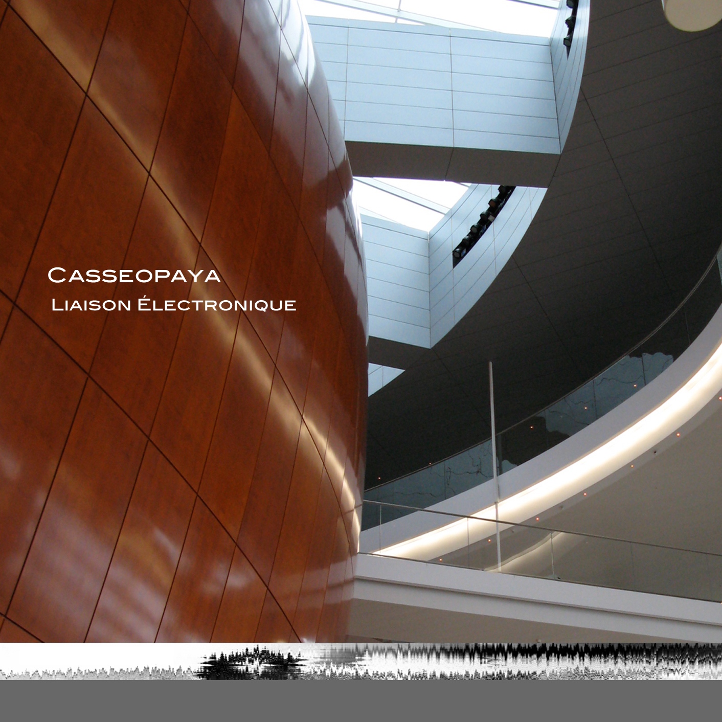 Liaison electronique