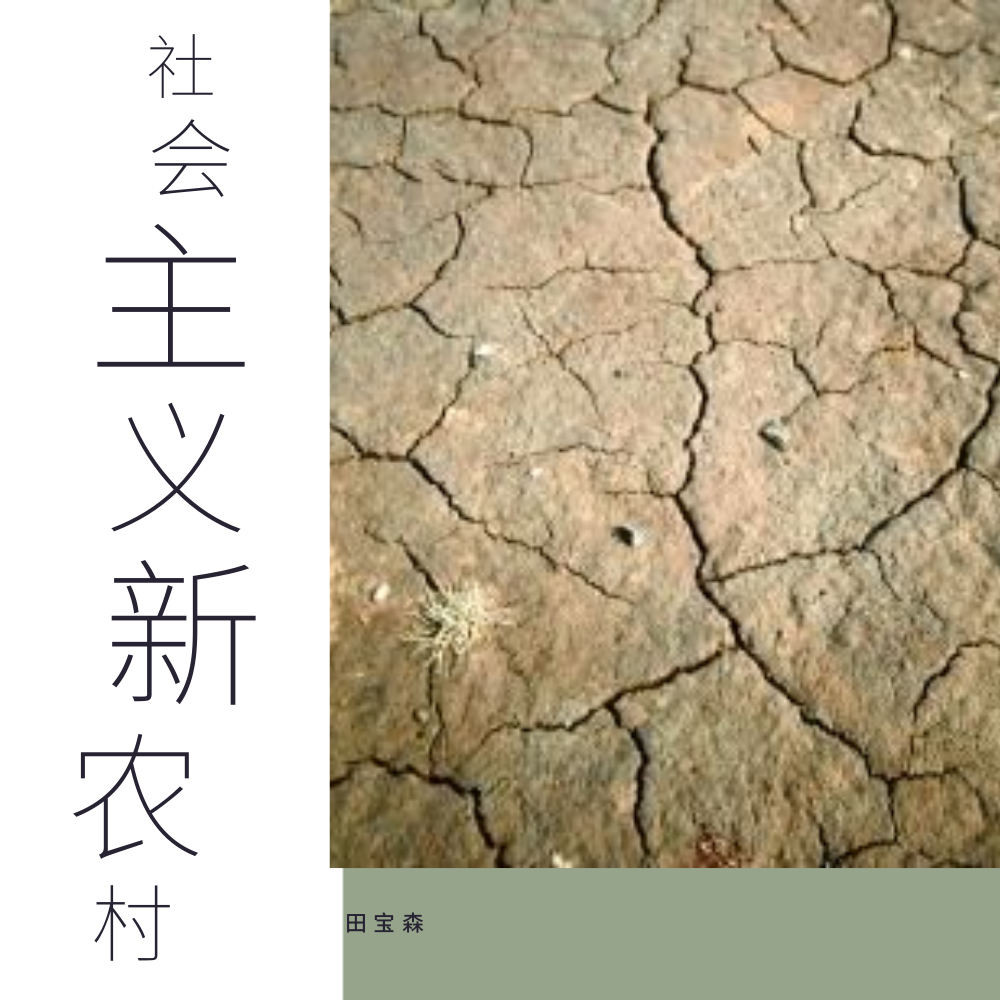 she hui zhu yi xin nong cun demo