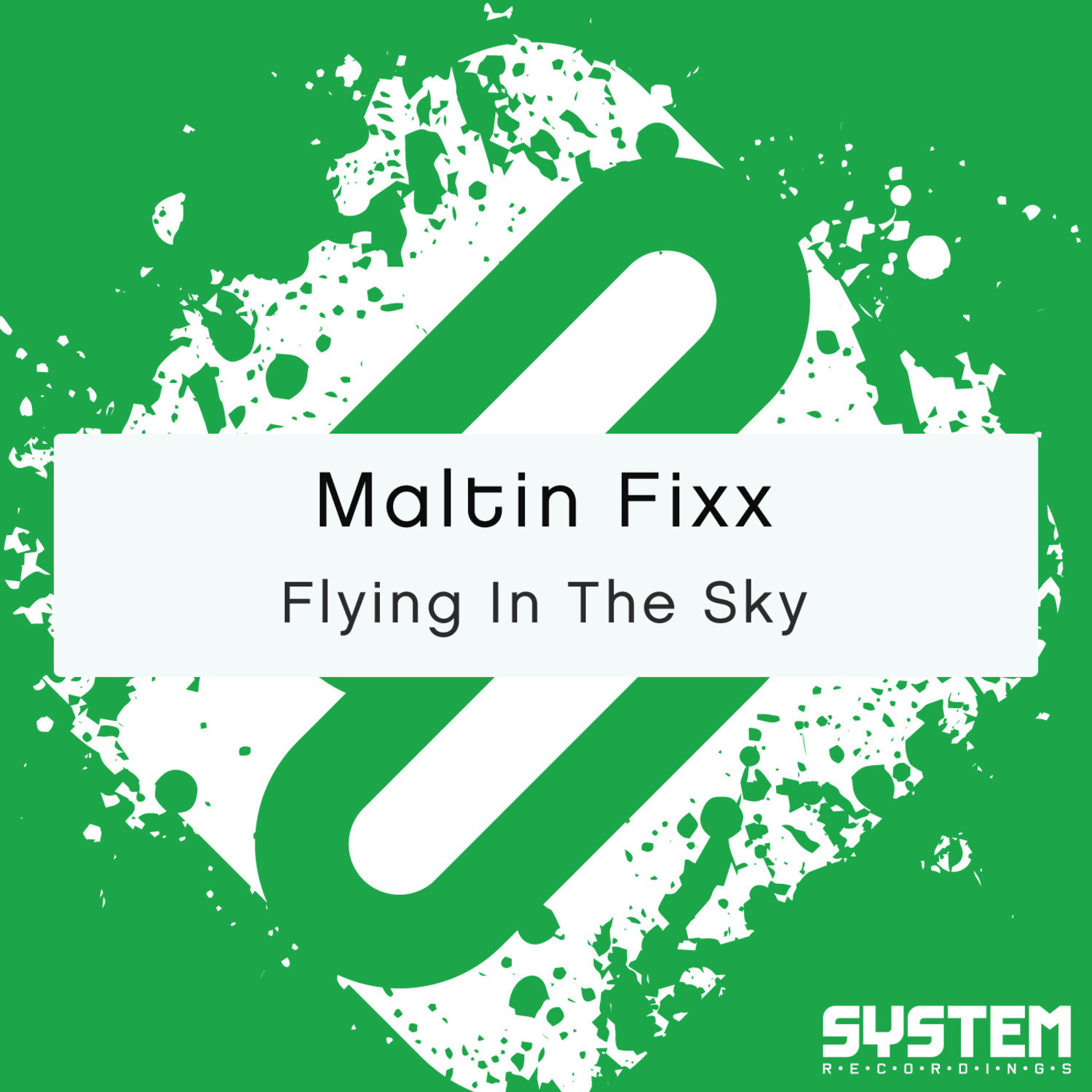 Flying in the Sky - Single
