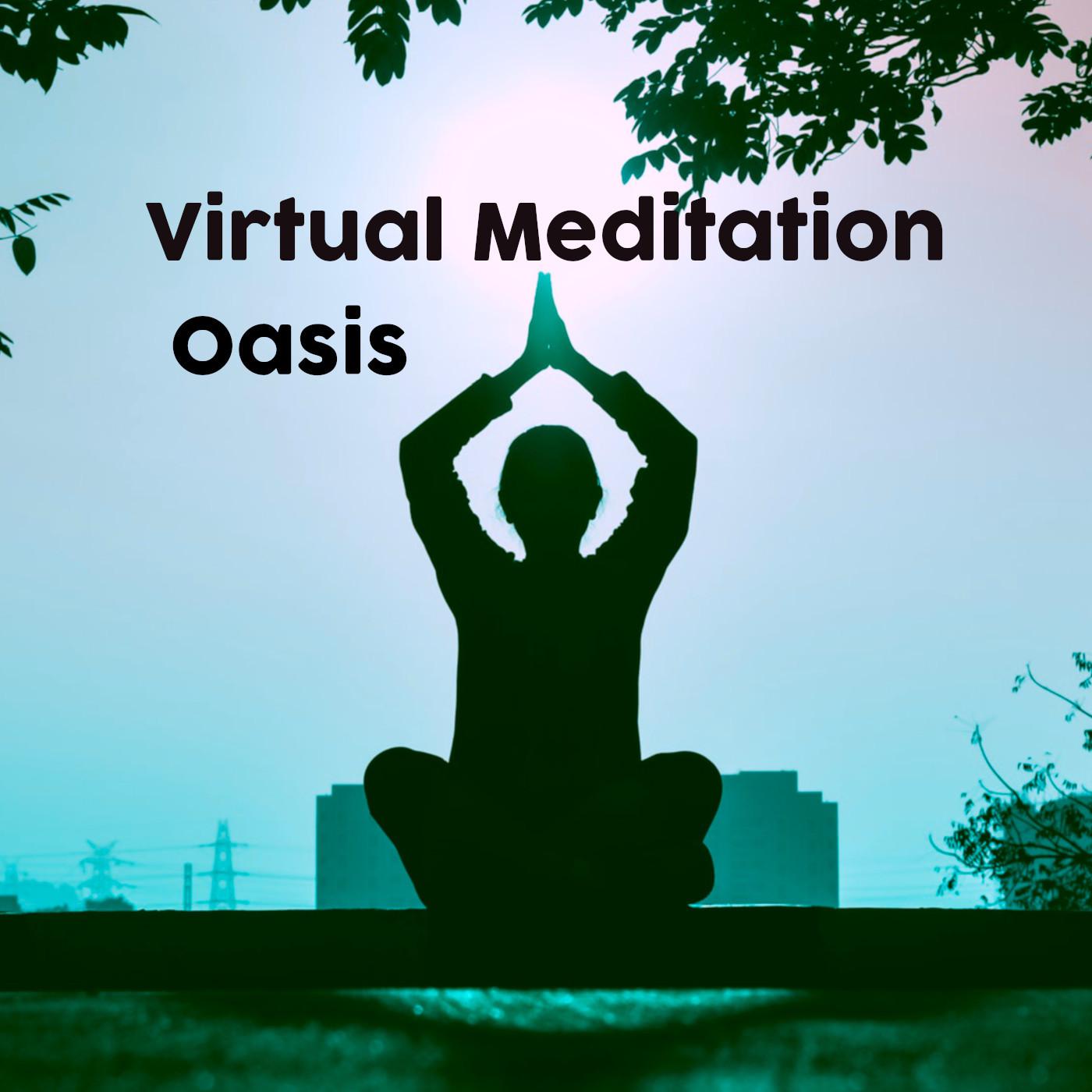 Virtual Meditation Oasis