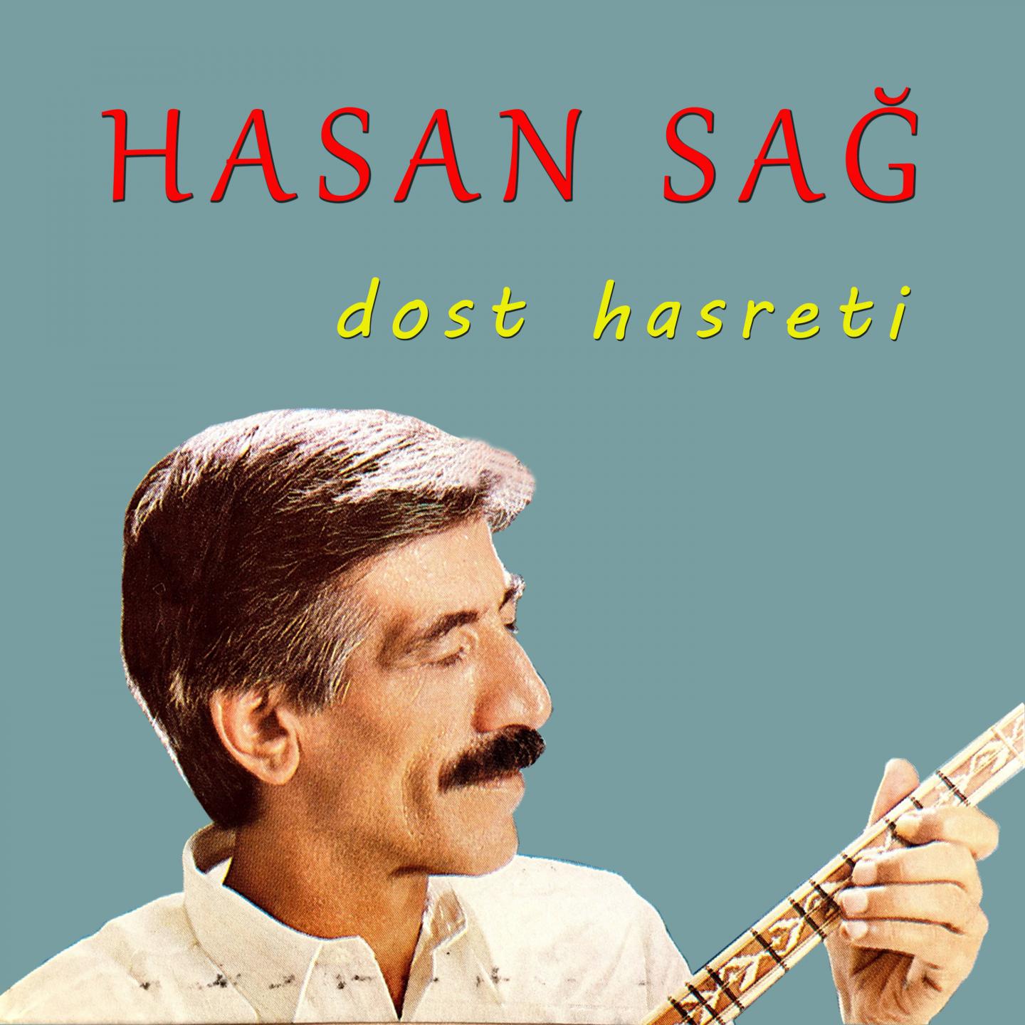 Dost Hasreti