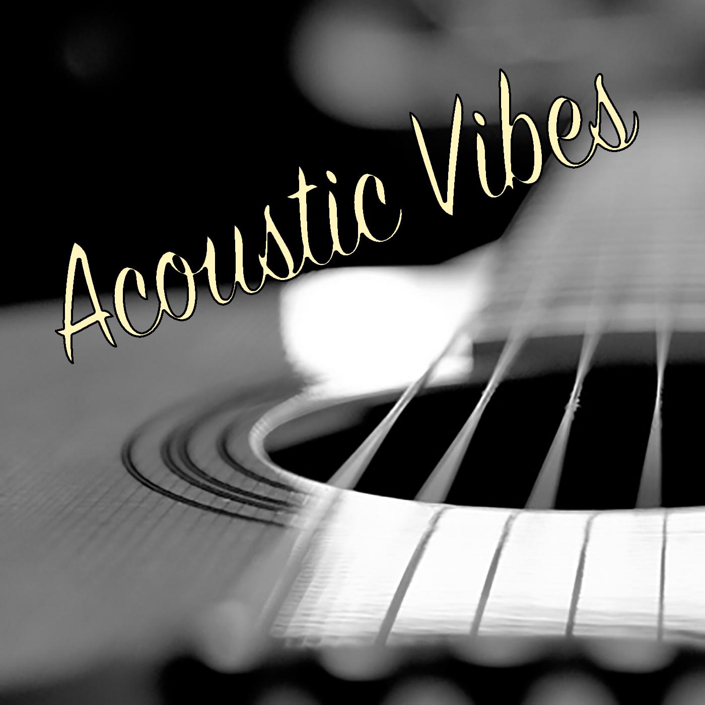 Acoustic Vibes